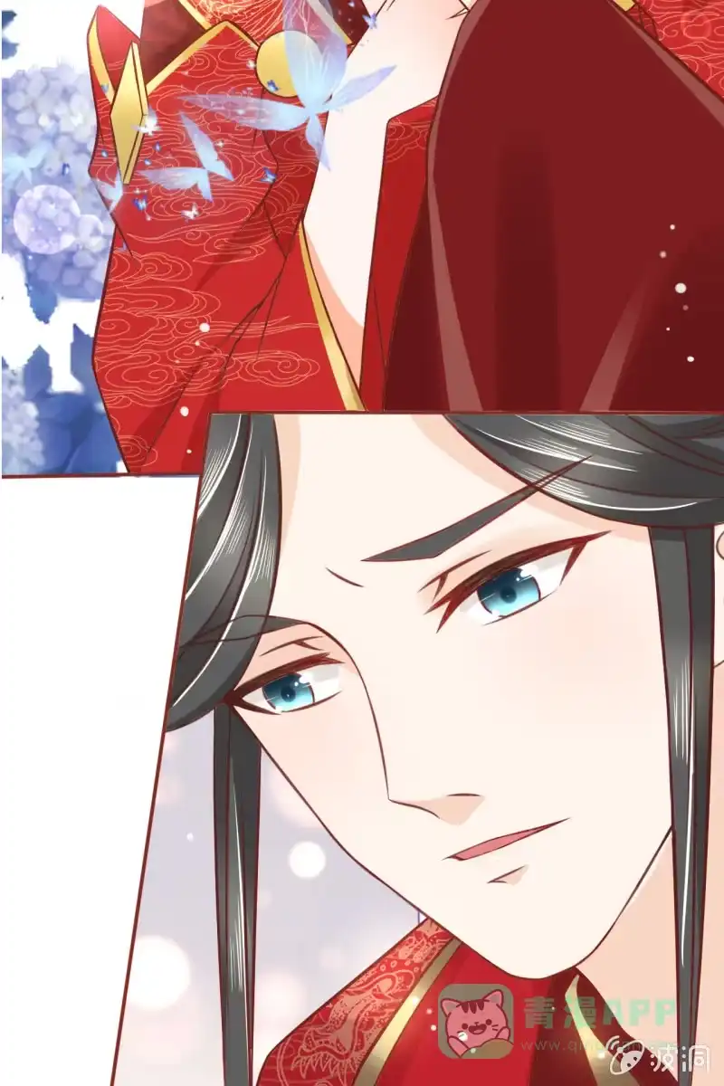 《半妖王妃》男人都是大猪蹄子！！ 第26页