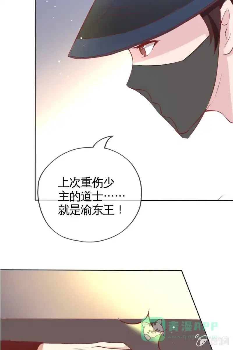 《半妖王妃》新婚出游 第41页
