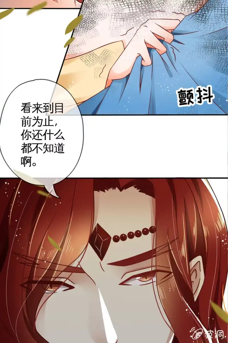 《半妖王妃》来自靳渊的挑唆 第5页