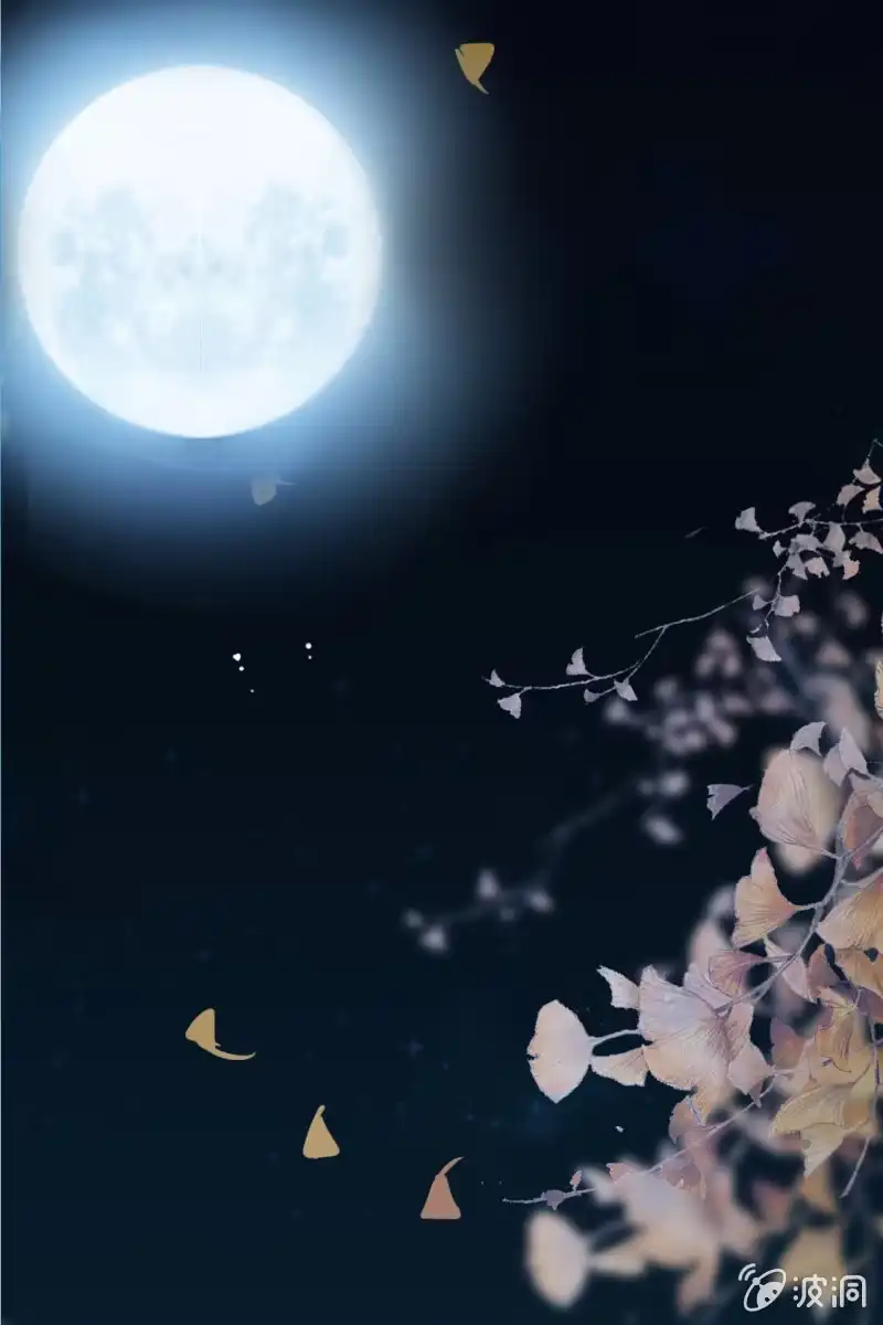 《半妖王妃》妖族圣女 第3页