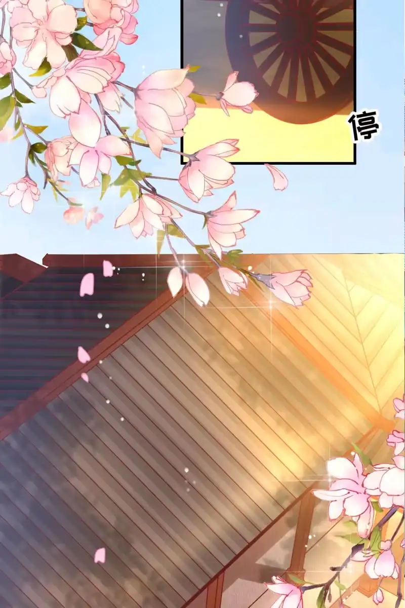 《半妖王妃》锦桃妹妹，我有话对你说 第5页
