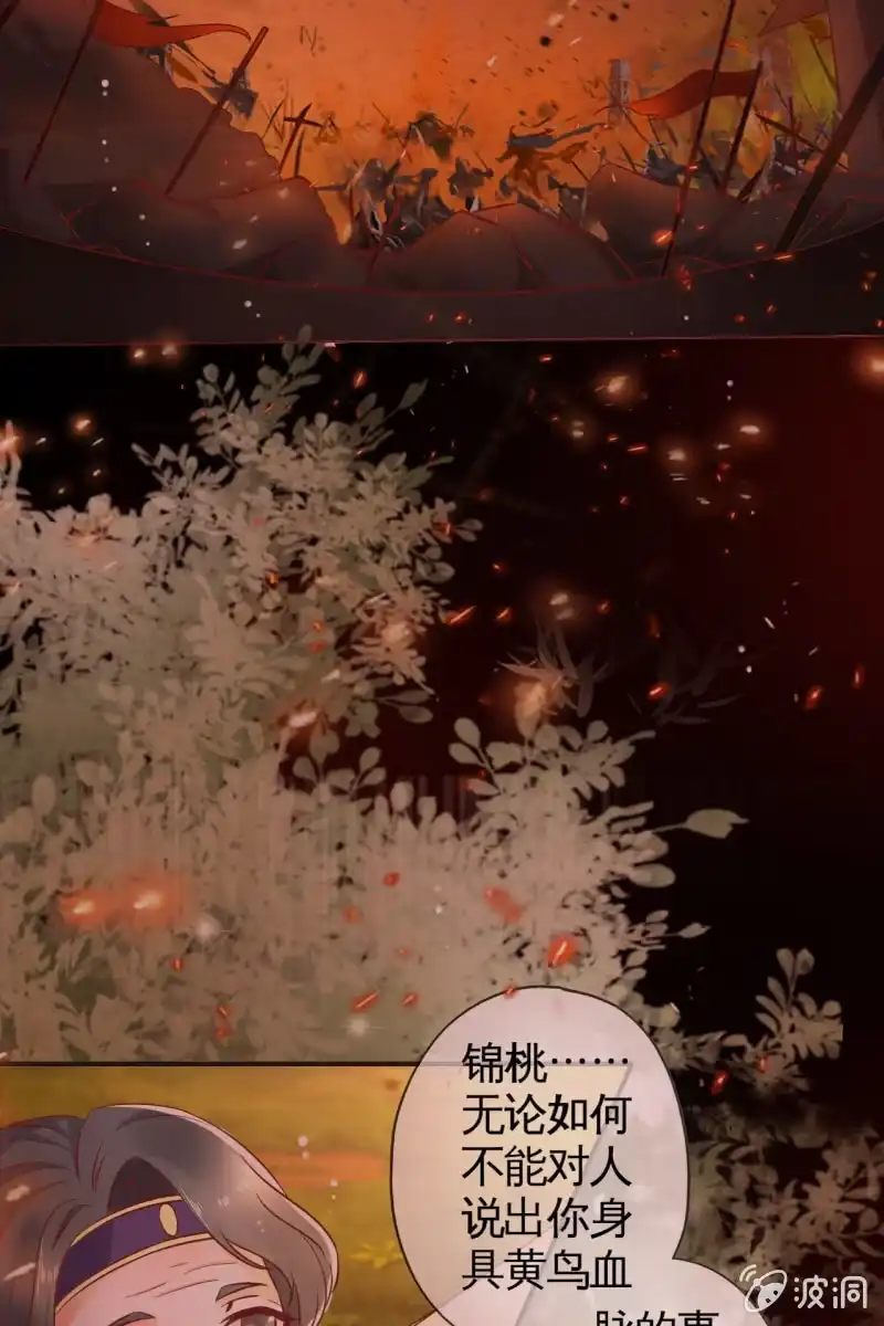 《半妖王妃》出征 第17页
