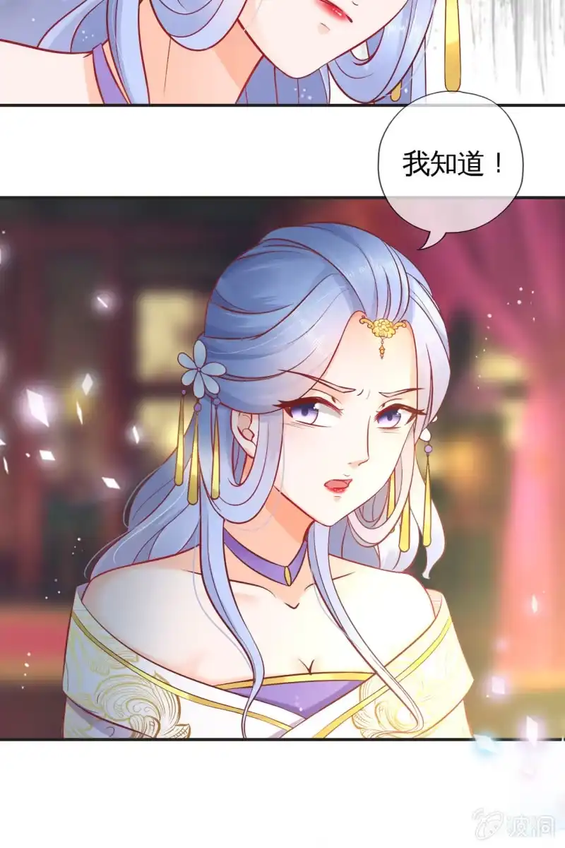 《半妖王妃》为什么是她？ 第13页