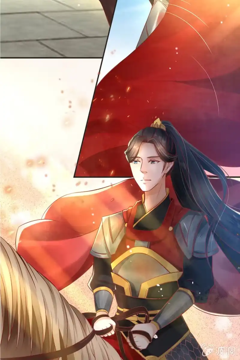 《半妖王妃》我等你出征回来 第29页