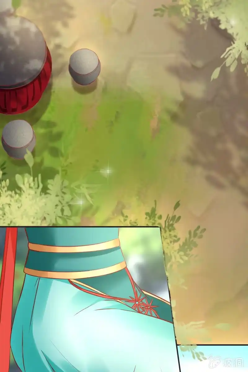 《半妖王妃》丫鬟的猜忌 第17页