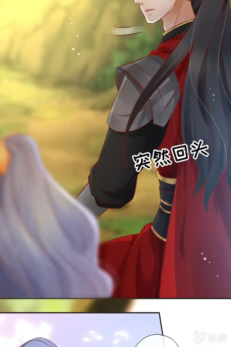 《半妖王妃》护身符 第30页