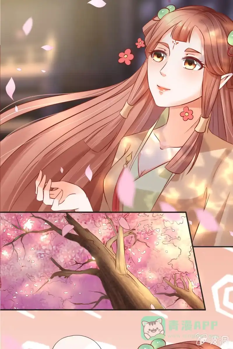 《半妖王妃》咦，有刺客！ 第6页