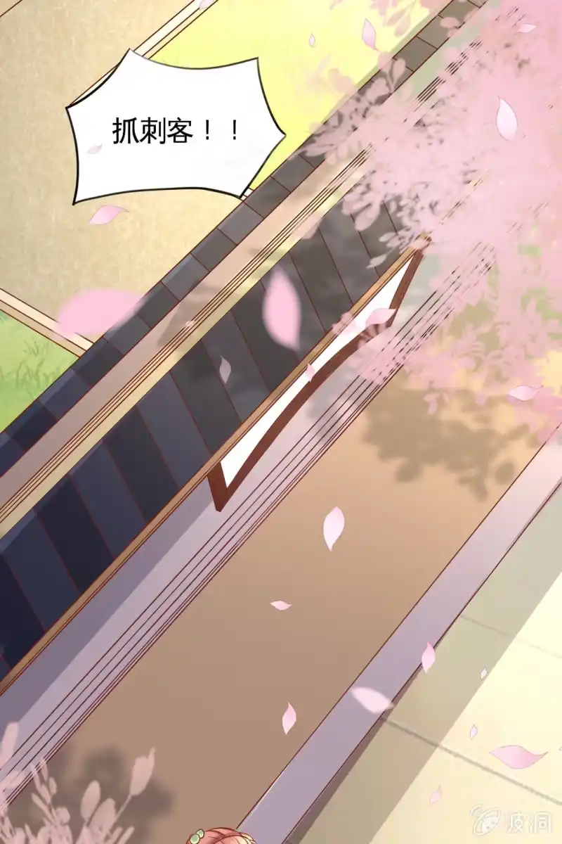《半妖王妃》咦，有刺客！ 第17页