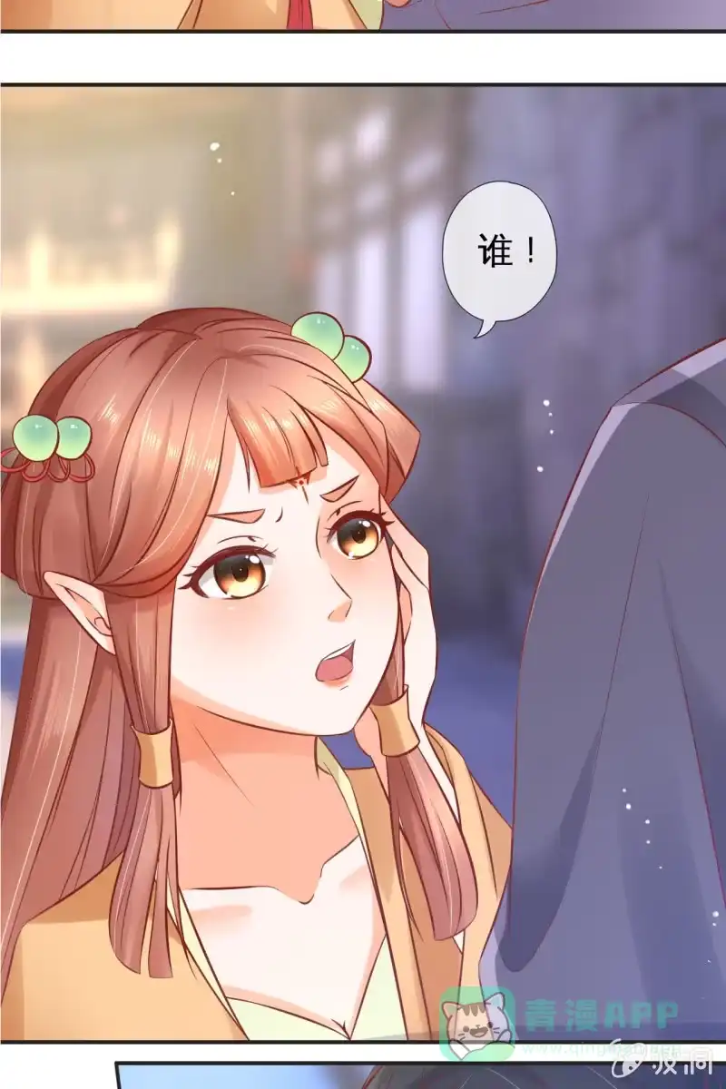 《半妖王妃》咦，有刺客！ 第26页