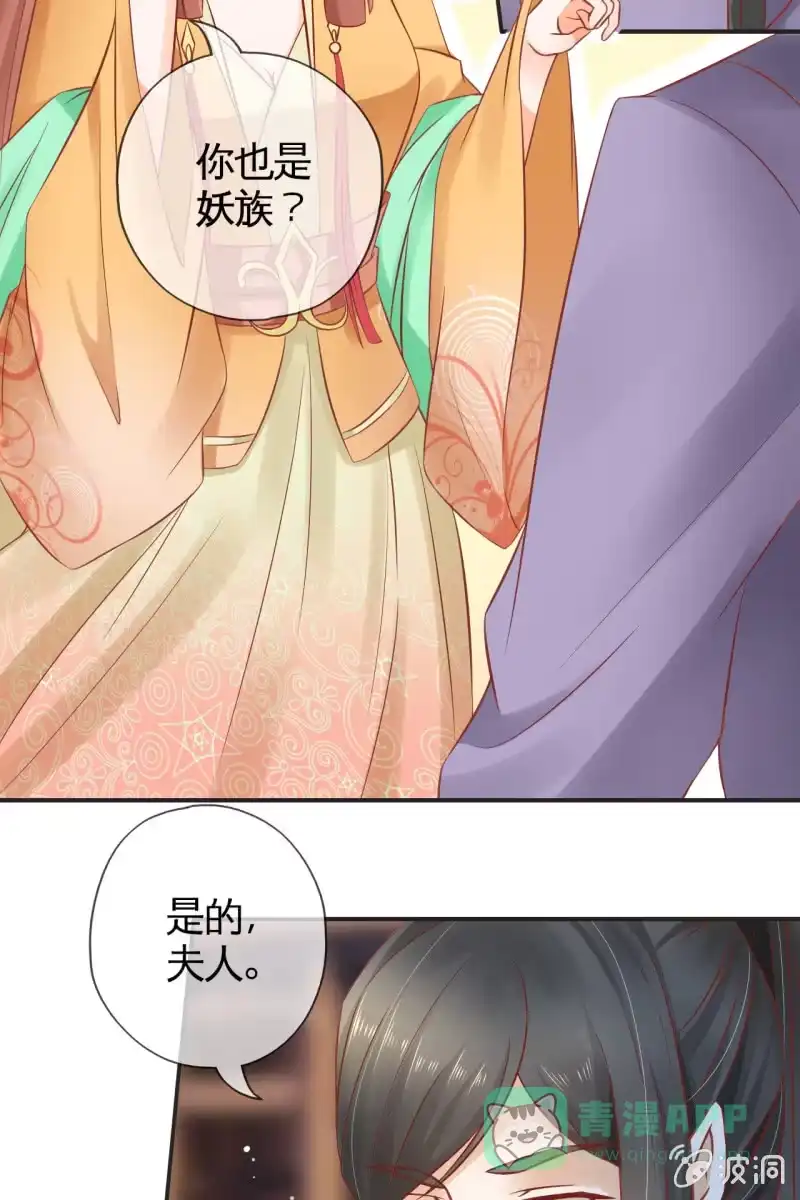 《半妖王妃》陷阱 第6页
