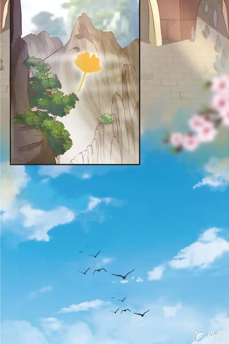 《半妖王妃》学礼仪 第23页