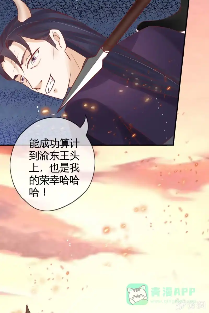 《半妖王妃》王爷中计 第31页