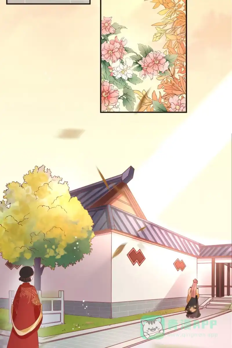 《半妖王妃》作茧自缚 第6页