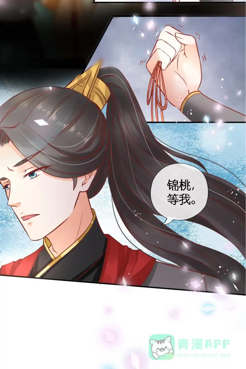 《半妖王妃》准备回程 第31页