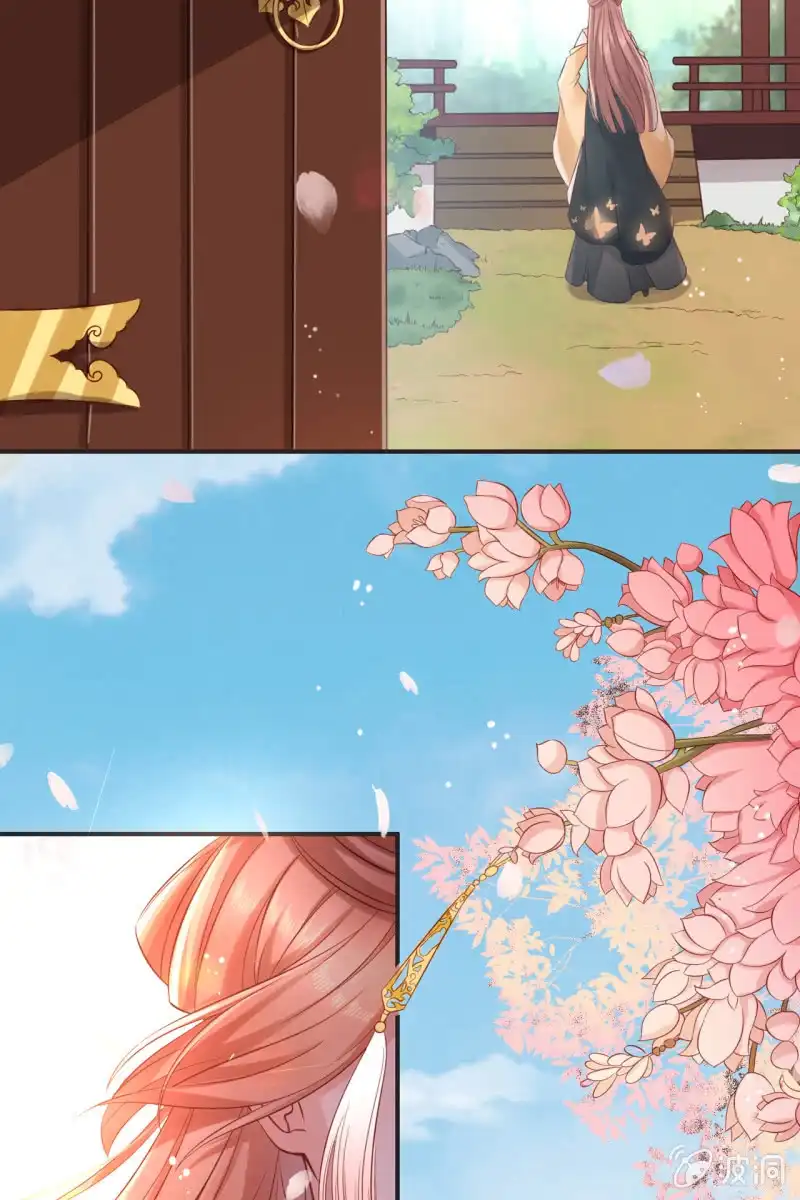 《半妖王妃》来袭 第5页
