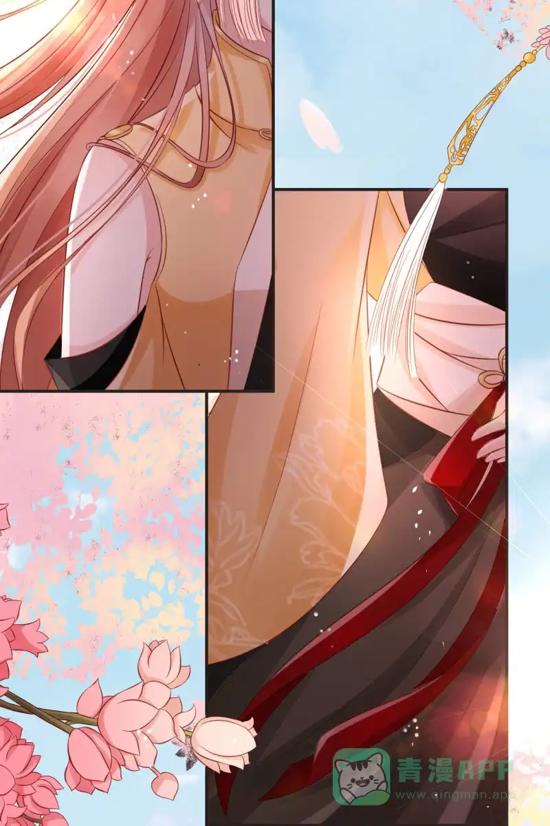 《半妖王妃》来袭 第6页