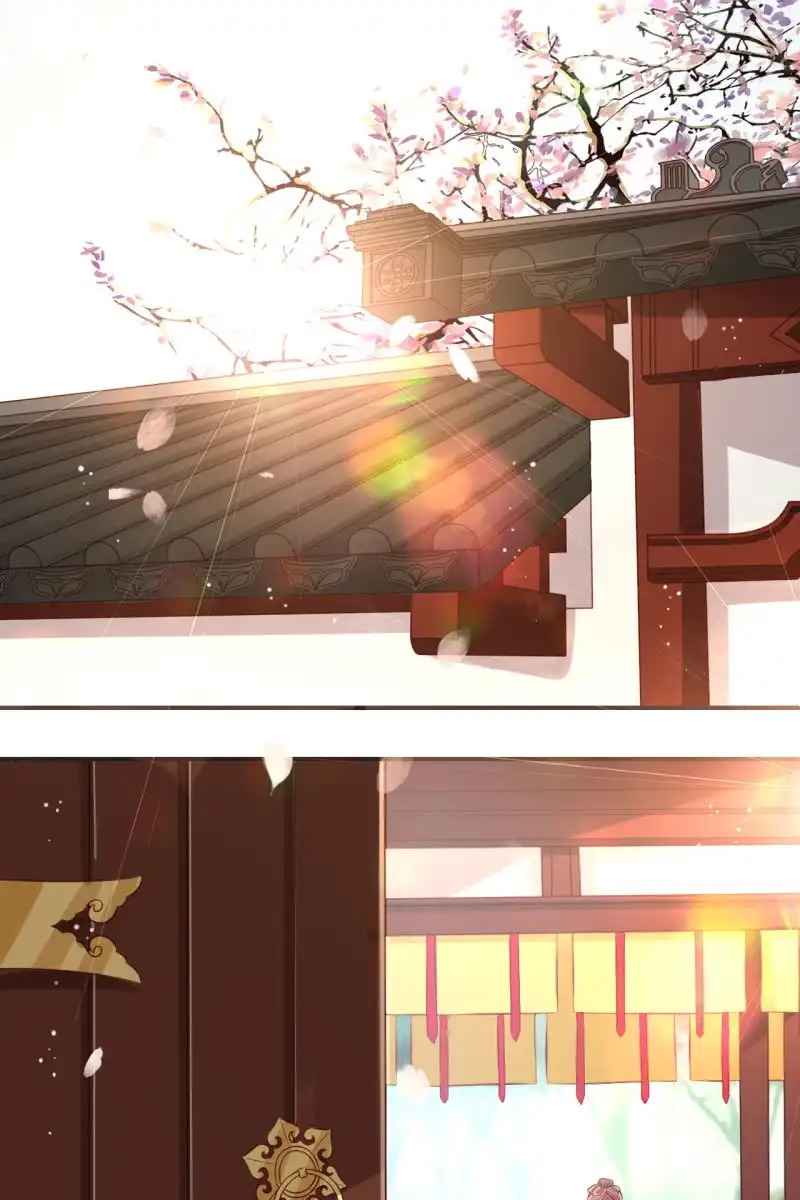 《半妖王妃》来袭 第4页