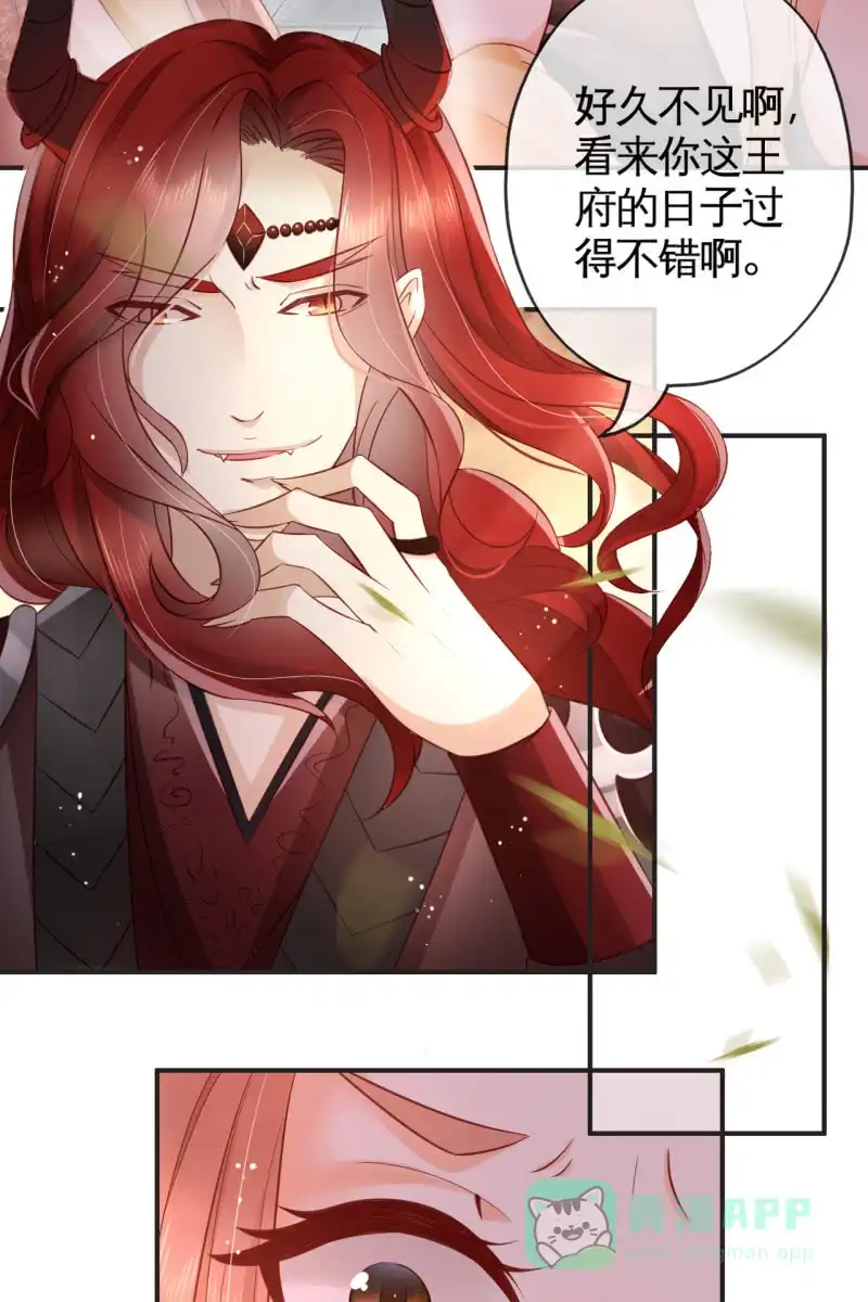 《半妖王妃》不要小瞧我 第6页