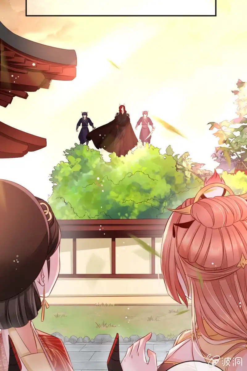 《半妖王妃》不要小瞧我 第5页