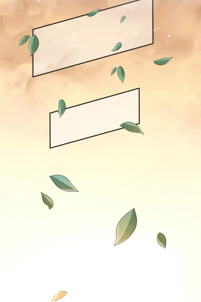 《半妖王妃》不要小瞧我 第3页