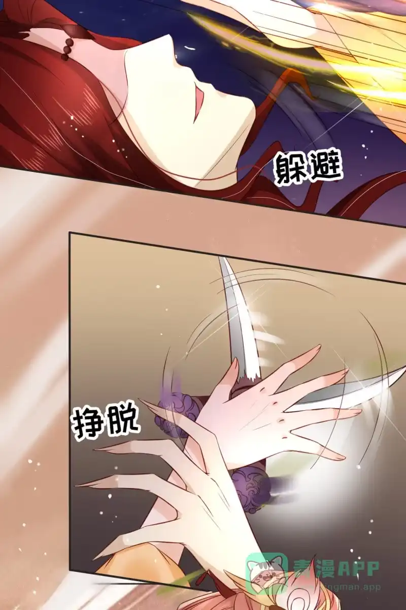 《半妖王妃》完蛋了，打不过 第26页