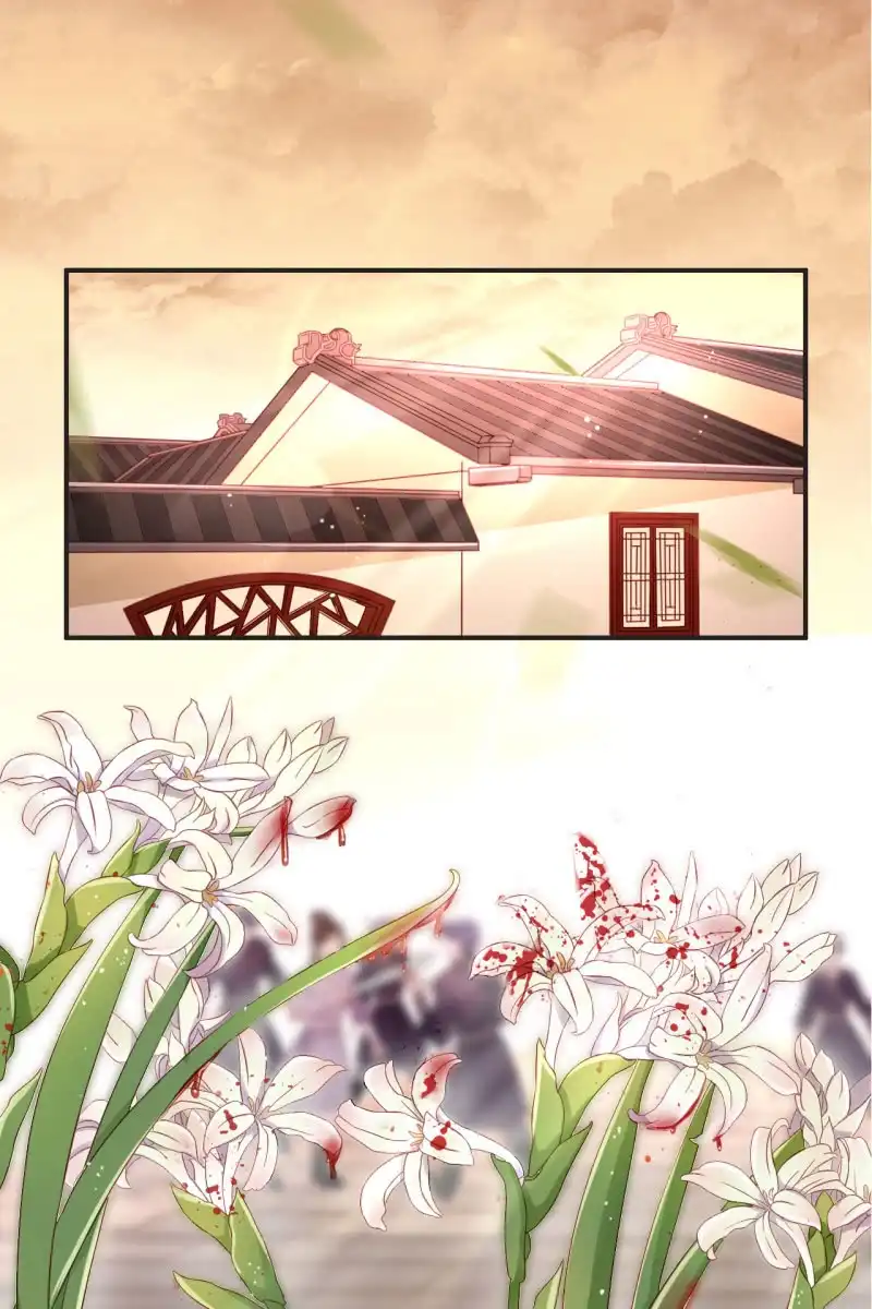《半妖王妃》完蛋了，打不过 第8页
