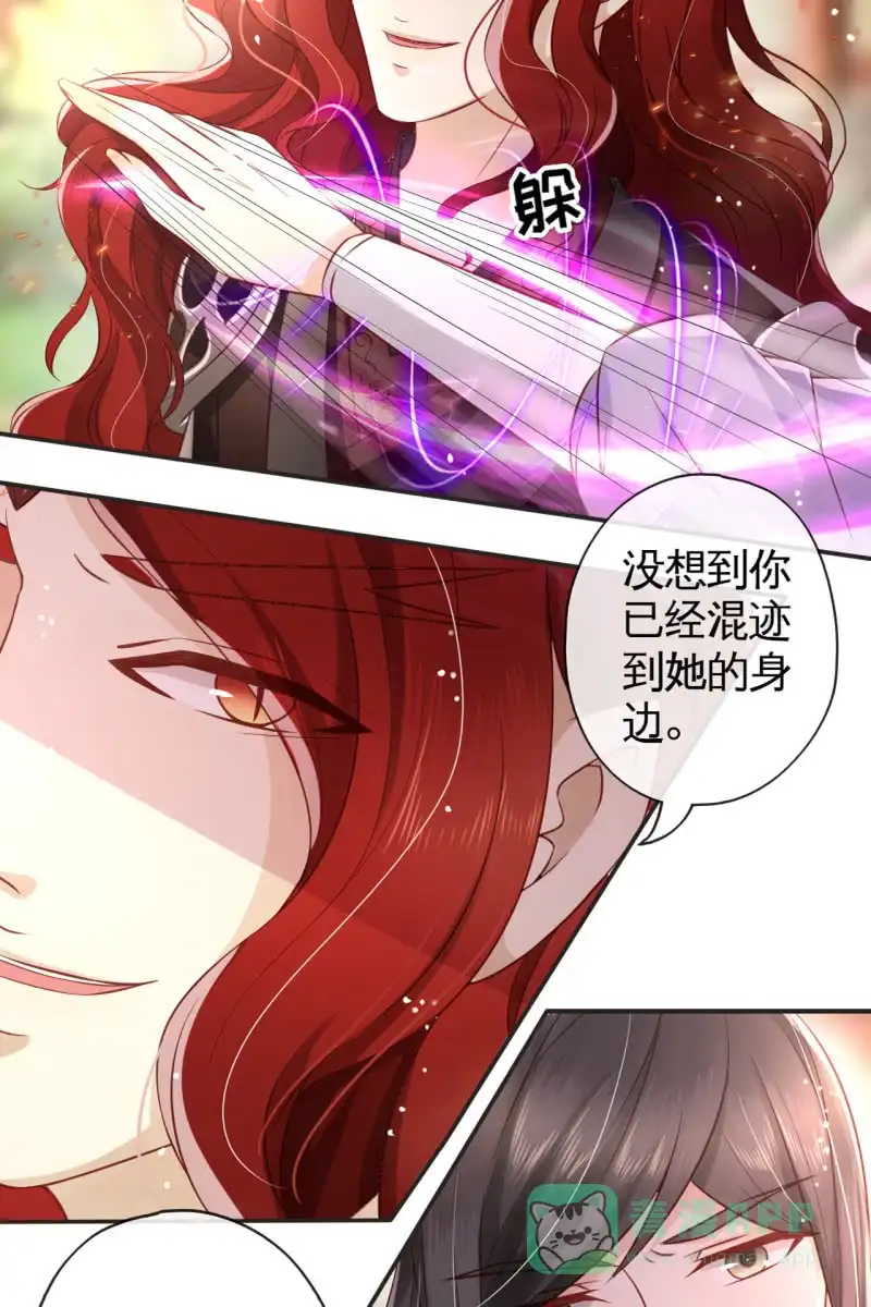 《半妖王妃》完蛋了，打不过 第11页