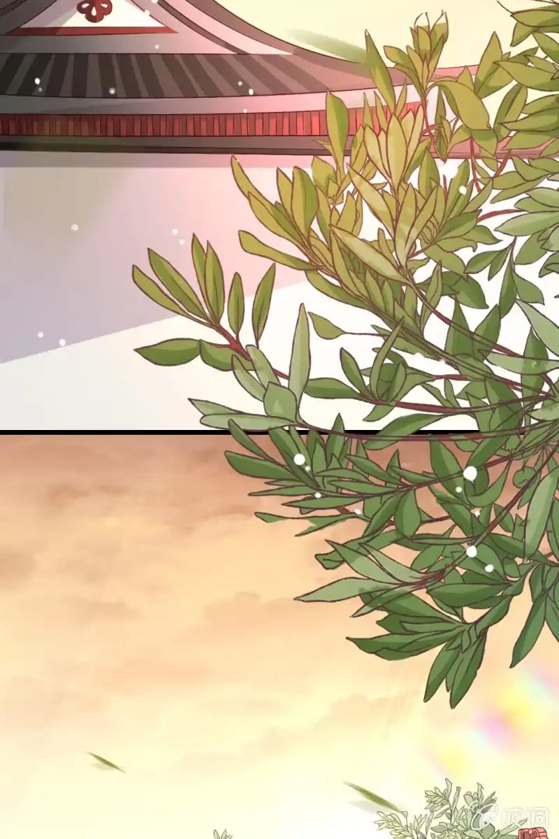 《半妖王妃》锦桃受伤 第17页