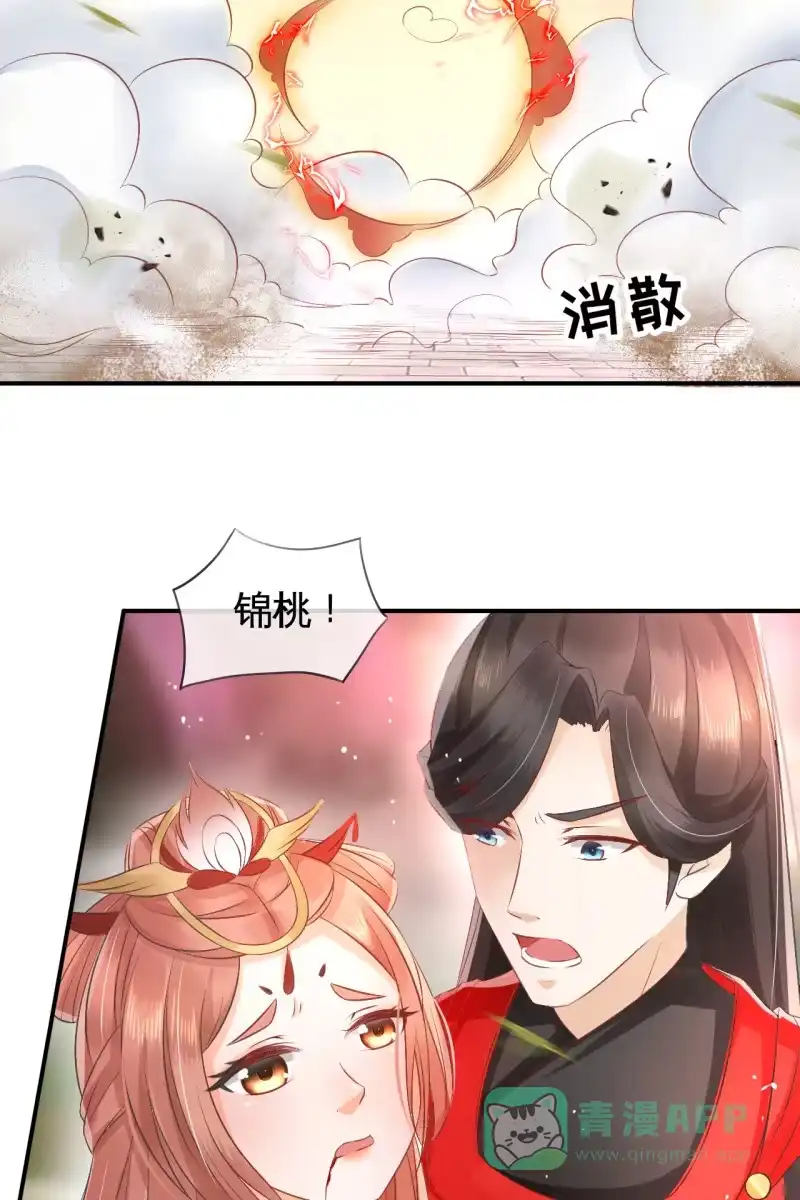 《半妖王妃》锦桃受伤 第6页