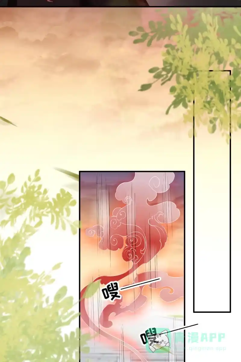 《半妖王妃》锦桃受伤 第11页