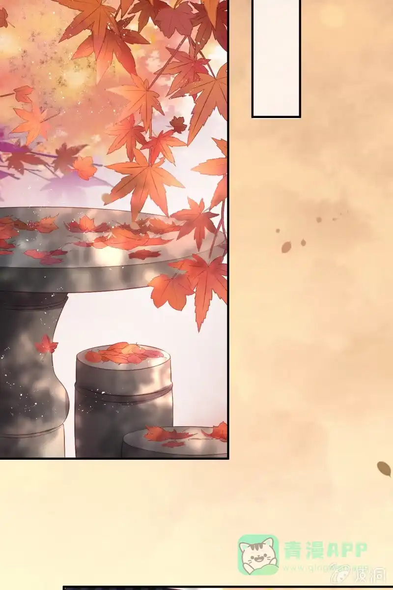《半妖王妃》你还嫌害我不够？ 第21页