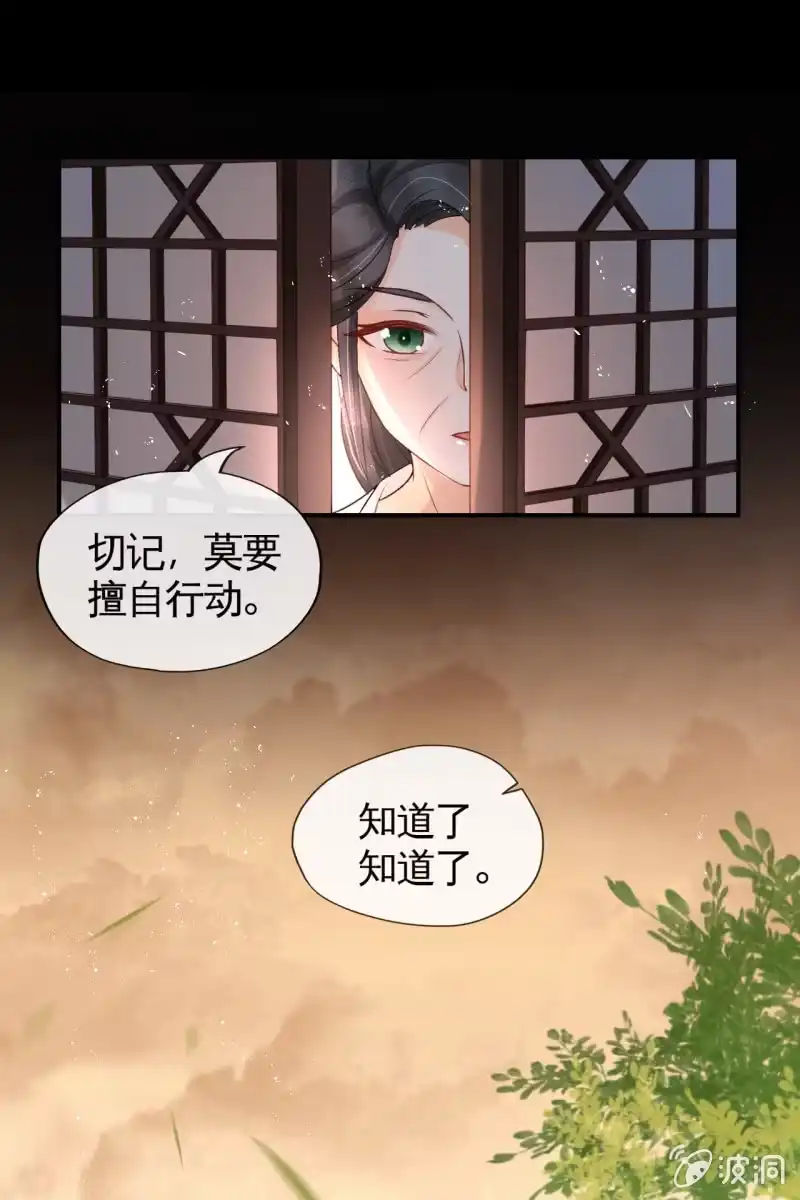 《半妖王妃》你还嫌害我不够？ 第29页
