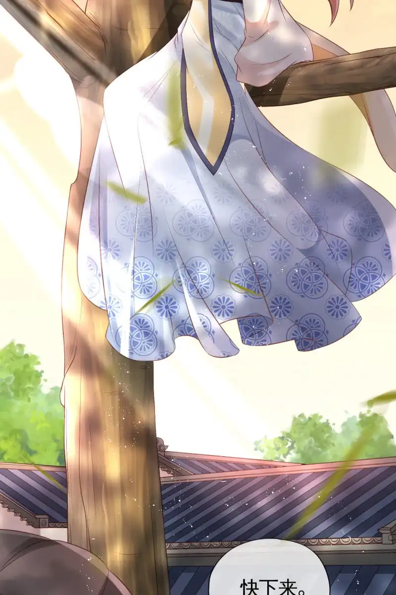 《半妖王妃》想直接动手？ 第4页
