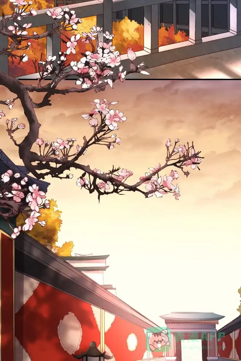 《半妖王妃》册封王妃 第26页
