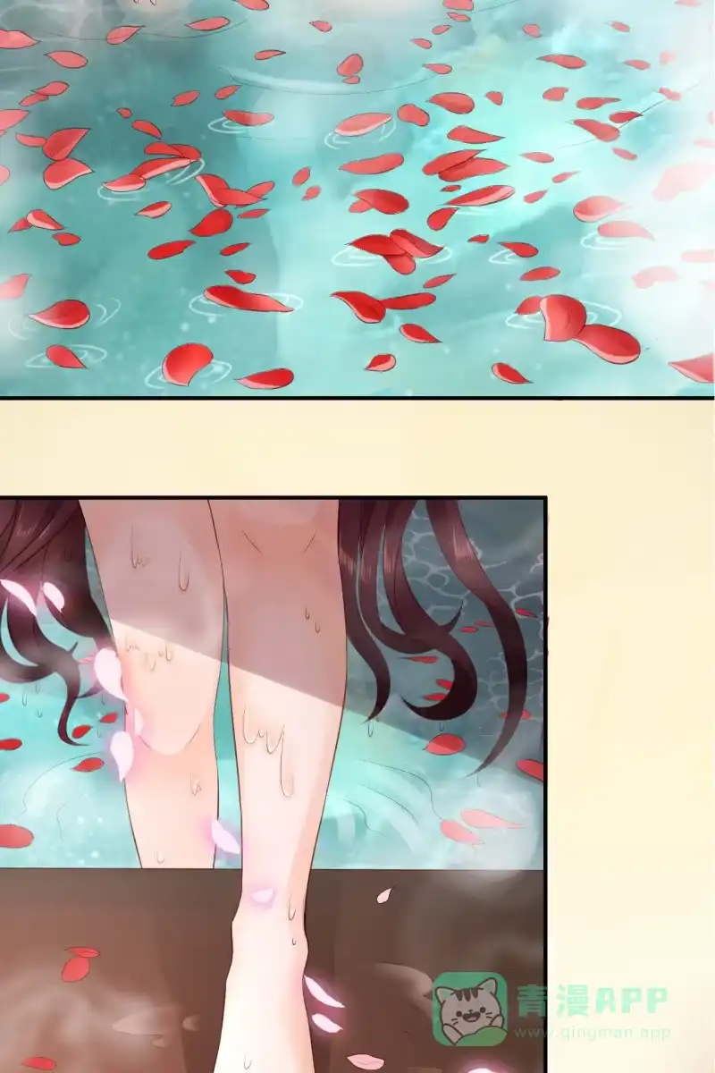 《半妖王妃》册封王妃 第31页