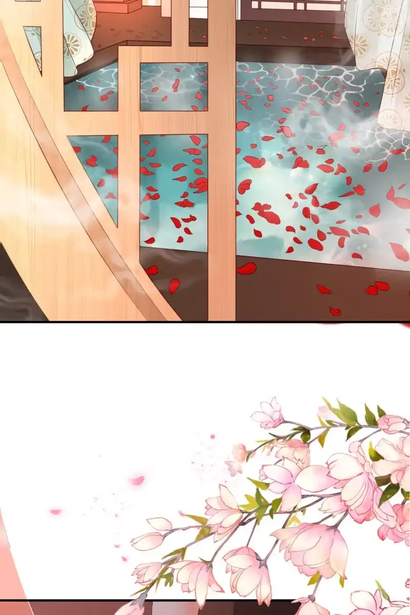 《半妖王妃》册封王妃 第28页