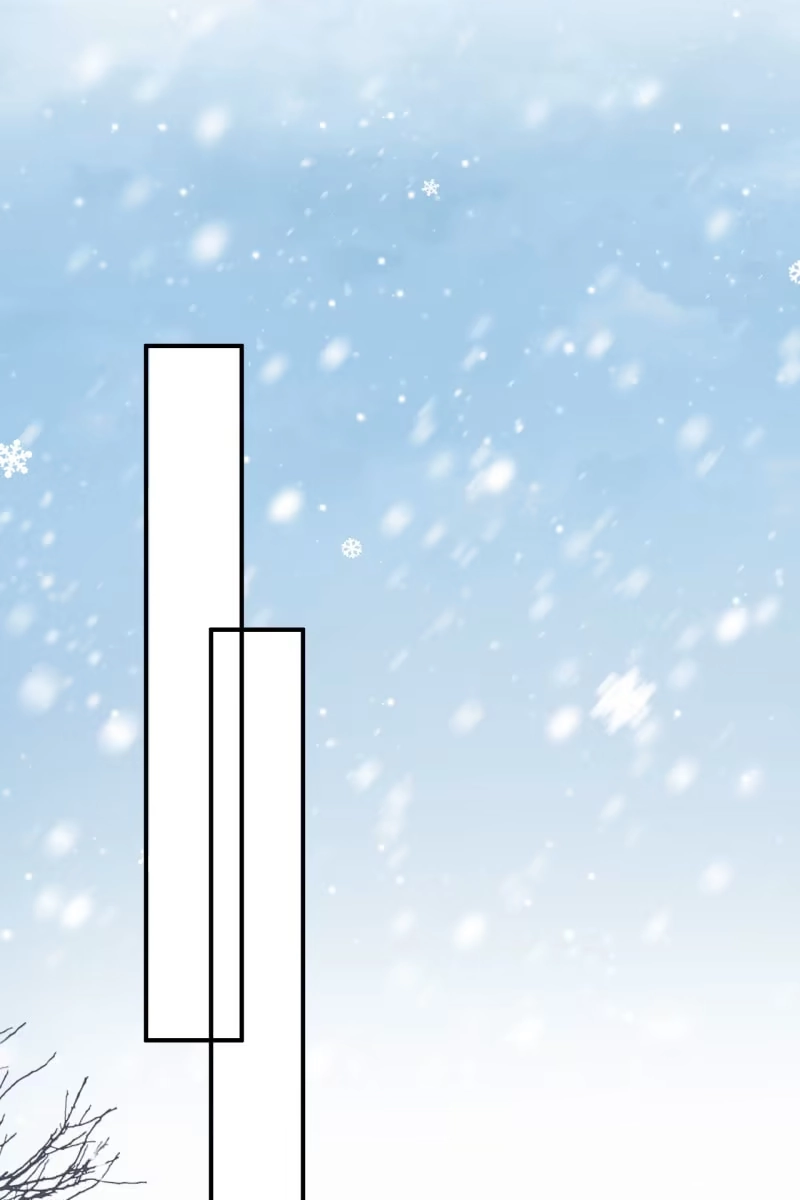 《半妖王妃》雪中等郎归 第3页
