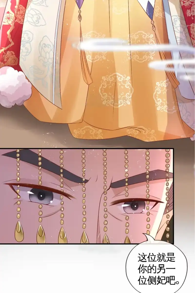 《半妖王妃》让王妃侍寝 第14页