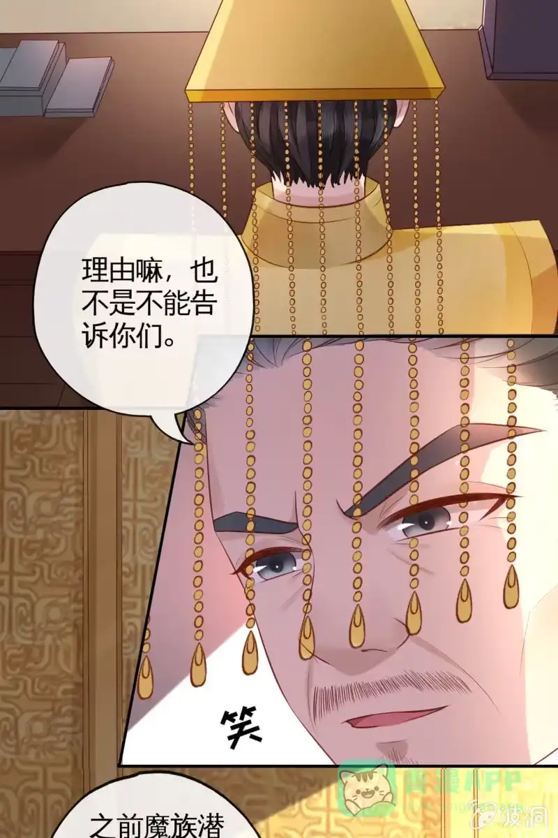 《半妖王妃》锦桃成为王妃 第36页