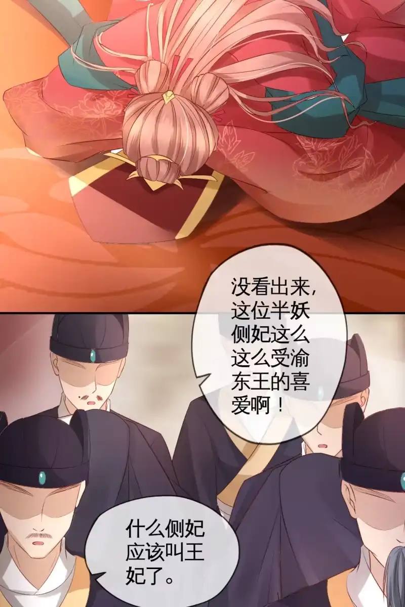 《半妖王妃》锦桃成为王妃 第29页