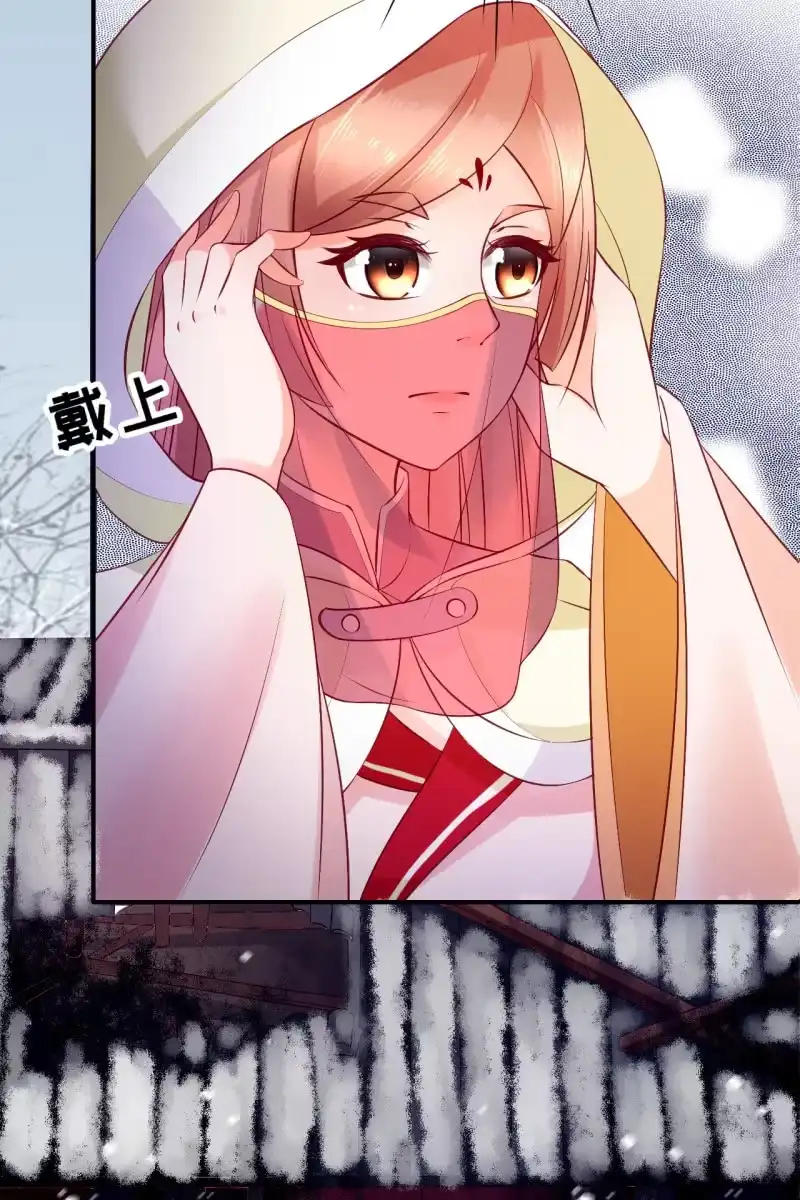《半妖王妃》遭到埋伏 第19页