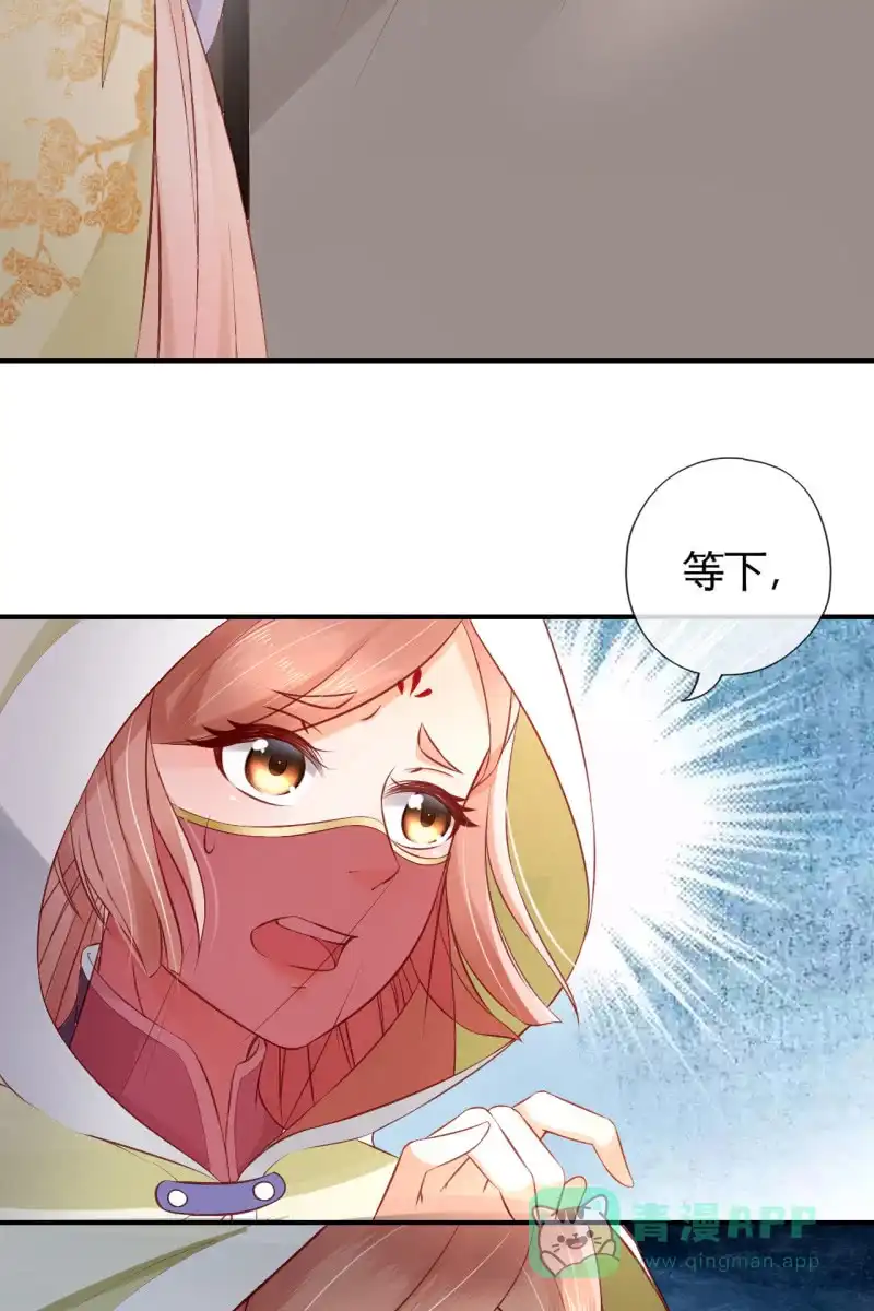 《半妖王妃》相互试探 第31页