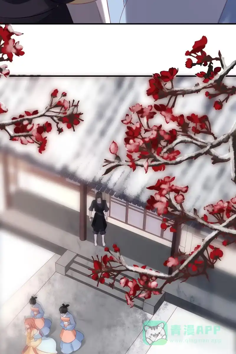 《半妖王妃》宠妻狂魔到场 第11页