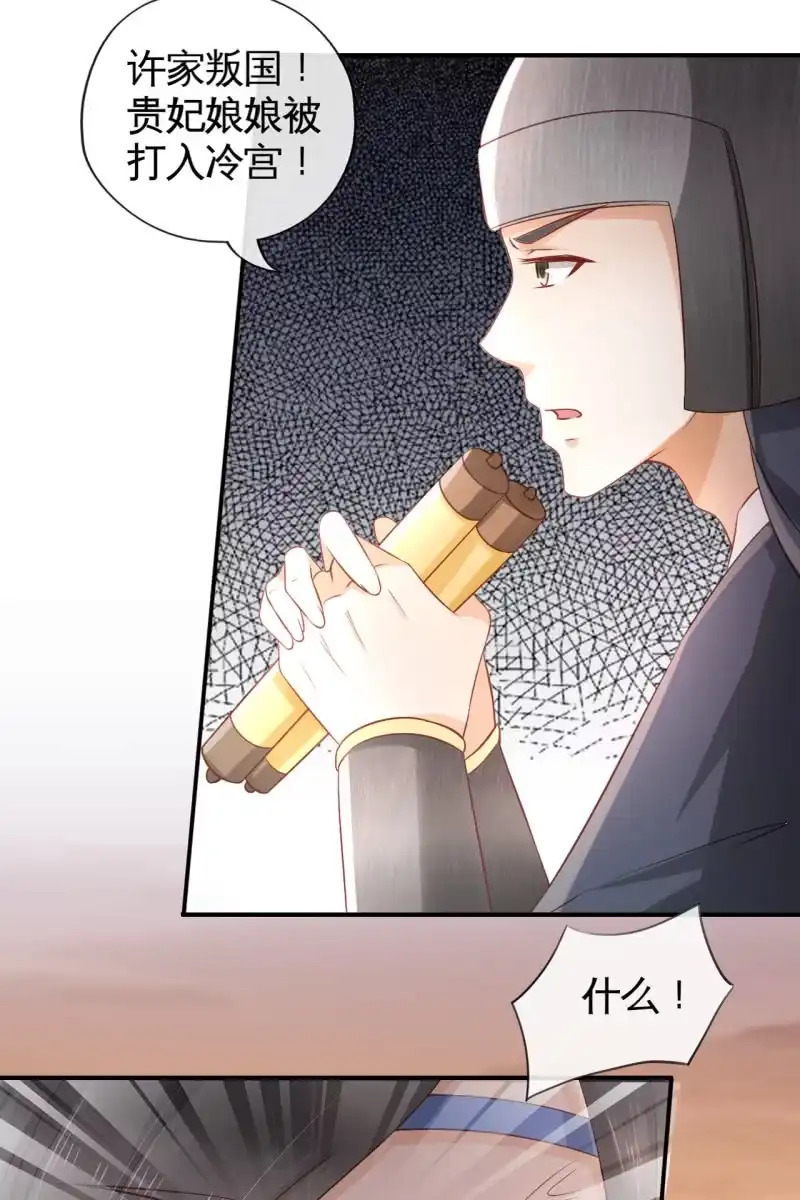 《半妖王妃》回忆许家 第13页