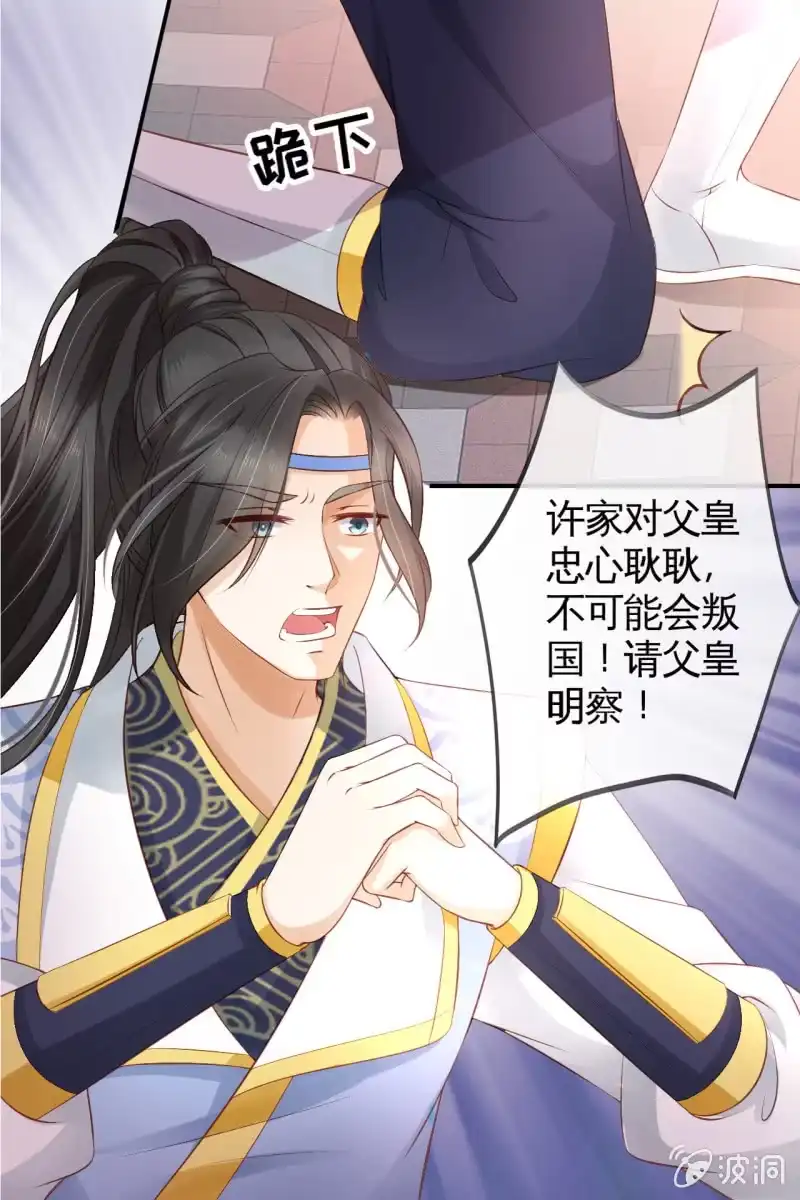 《半妖王妃》回忆许家 第29页