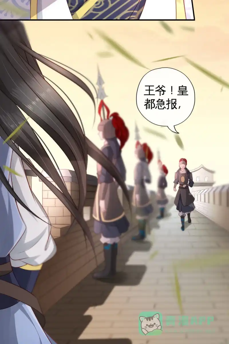 《半妖王妃》回忆许家 第11页