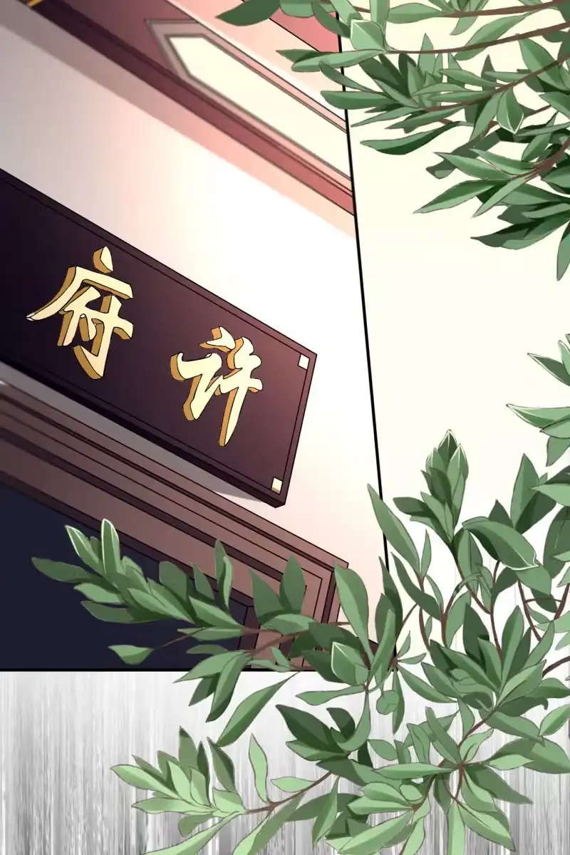《半妖王妃》回忆许家（二） 第19页