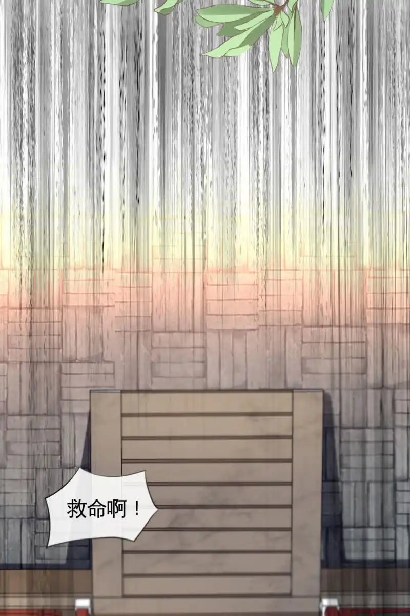 《半妖王妃》回忆许家（二） 第20页