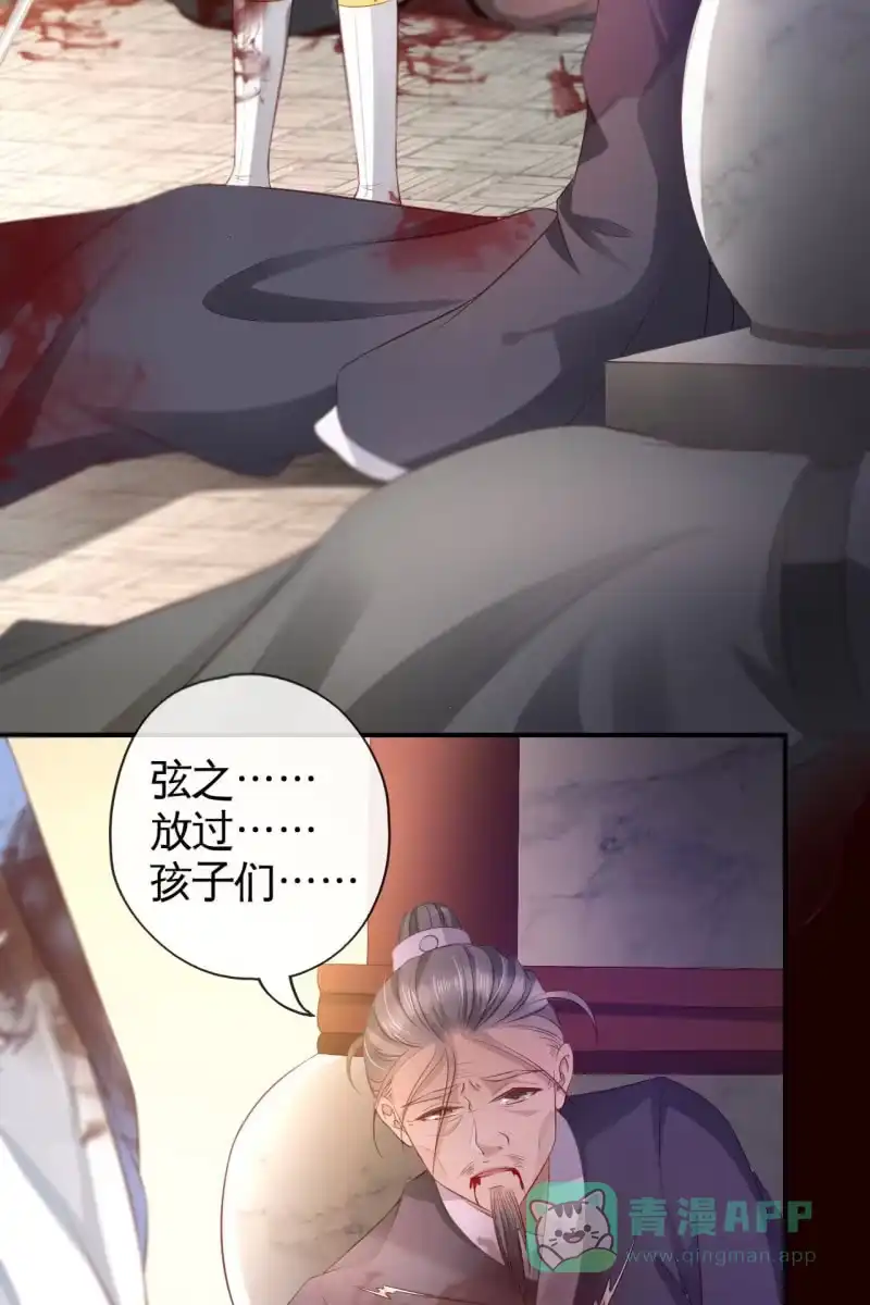 《半妖王妃》回忆许家（二） 第26页