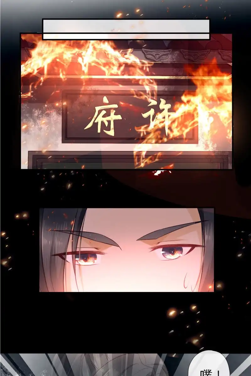 《半妖王妃》暗潮汹涌 第3页